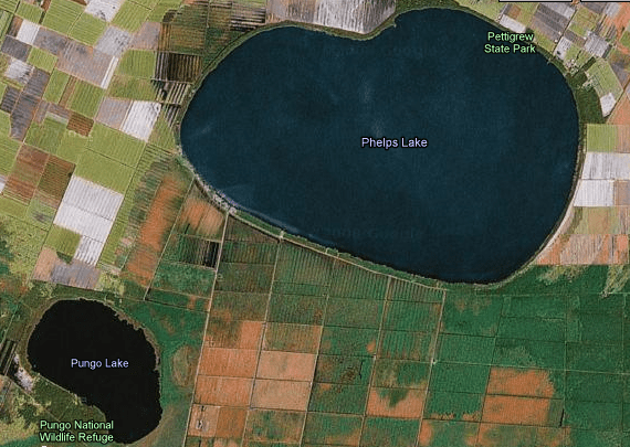 Phelps & Pungo Lakes