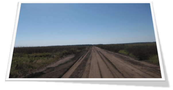 Deja Vu, Back Down Canal D Road