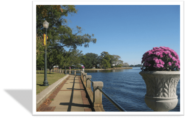 New Bern Waterfront & Pink Mums