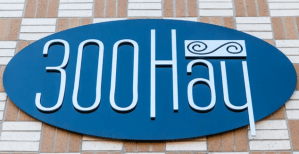 300 hay logo